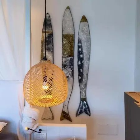 Perry 29 *